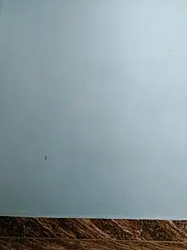 Snapshot of tight_pussy57 chatting on November 15, 5:16 am tight pussy57 online show from November 15, 5:16 am