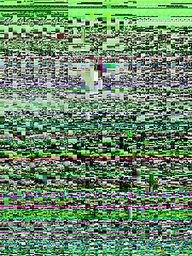 haiyan125216 online show from September 9, 1:16 am