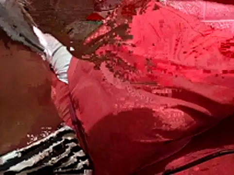 Kellye hotTs online show from February 4, 2:17 am