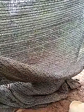 Tina 2pp online show from November 5, 11:27 pm