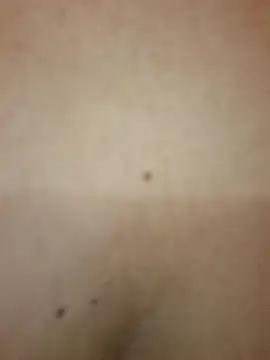 Luna 20x online show from October 8, 7:22 pm