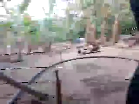 BigBoobs186 online show from November 10, 10:03 am