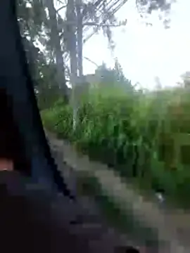 Snapshot of jeff_pepoer chatting on February 7, 10:52 am jeff pepoer online show from February 7, 10:52 am