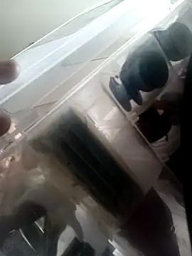 Isabella5 Brown  online show from October 7, 2:36 pm