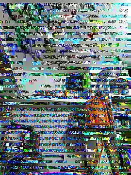 Snapshot of ISHANI-SINGH chatting on November 29, 3:37 pm ISHANI-SINGH online show from November 29, 3:37 pm