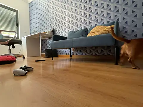 cumman789860 online show from October 2, 2:35 pm