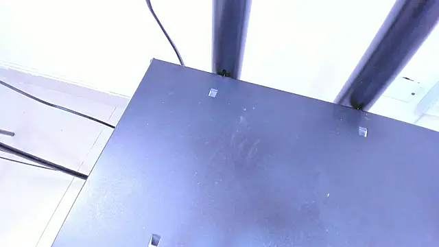 DaylesAndHarry online show from September 12, 1:00 pm