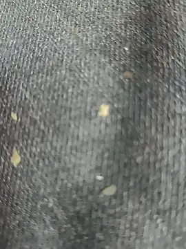 Narckse online show from September 15, 7:30 am