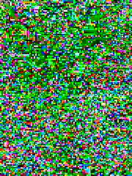 linhbe96xxx online show from November 3, 2:13 am