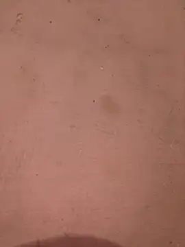 Snapshot of sakshi5533 chatting on November 28, 7:27 pm sakshi5533 online show from November 28, 7:27 pm