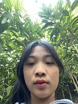 Phayphay77 online show from November 25, 1:05 am