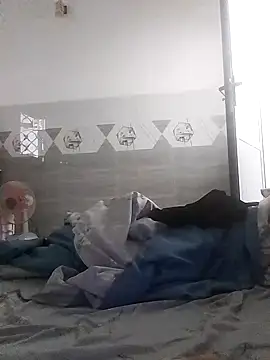 Tan32 11 online show from January 17, 8:19 am