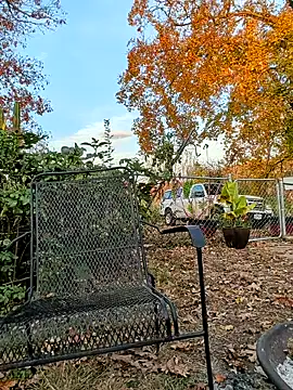 Snapshot of sizableunicorn7 chatting on November 6, 10:32 pm sizableunicorn7 online show from November 6, 10:32 pm