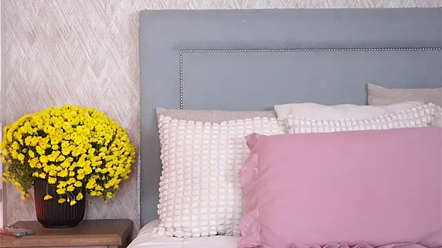 Snapshot of Sofy_Bradd chatting on November 8, 8:36 am Sofy Bradd online show from November 8, 8:36 am