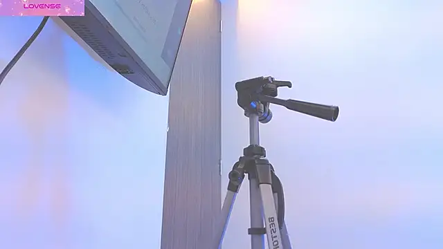 Daisy Price online show from March 18, 11:02 am