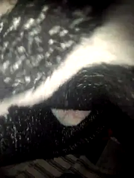 Snapshot of fantasma667 chatting on December 1, 12:21 pm fantasma667 online show from December 1, 12:21 pm