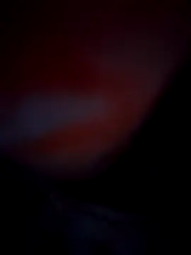 Exotic-bhabhi online show from October 10, 8:52 pm