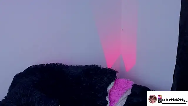 celestte evans 1 online show from February 8, 6:17 am