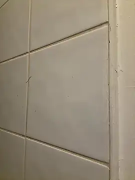 Snapshot of raen001 chatting on November 6, 8:54 pm raen001 online show from November 6, 8:54 pm