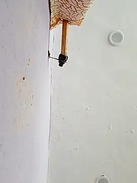 funcreat online show from September 11, 11:54 am