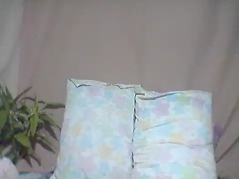 Snapshot of 66pineapple chatting on October 8, 12:47 pm 66pineapple online show from October 8, 12:47 pm