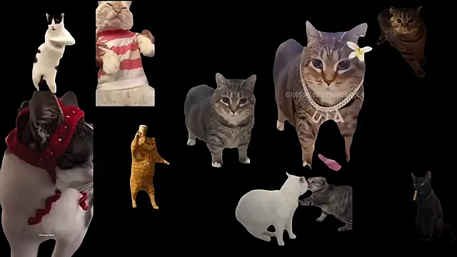 Snapshot of ch0wn_m chatting on October 3, 12:46 pm ch0wn m online show from October 3, 12:46 pm