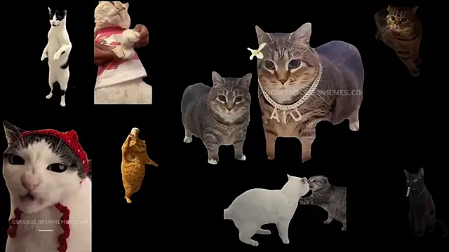 Snapshot of ch0wn_m chatting on October 24, 10:44 am ch0wn m online show from October 24, 10:44 am