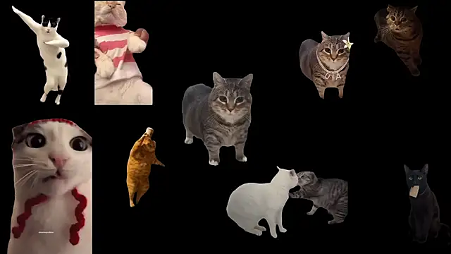 Snapshot of ch0wn_m chatting on November 14, 1:21 pm ch0wn m online show from November 14, 1:21 pm