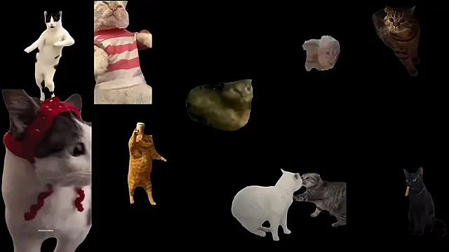 Snapshot of ch0wn_m chatting on November 18, 3:38 pm ch0wn m online show from November 18, 3:38 pm