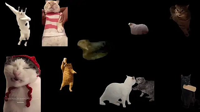 ch0wn m online show from February 1, 2:59 pm