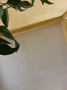 Snapshot of femboyslqueen chatting on December 1, 6:40 am femboyslqueen online show from December 1, 6:40 am