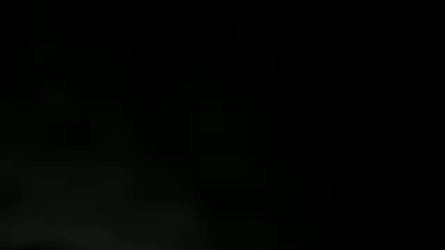 Snapshot of WILD_FIREE_ chatting on December 2, 8:15 pm WILD FIREE online show from December 2, 8:15 pm