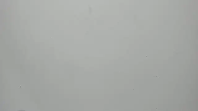 Snapshot of invincible200 chatting on September 15, 1:55 pm invincible200 online show from September 15, 1:55 pm