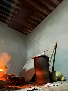 Sunny lotus online show from December 15, 12:09 pm