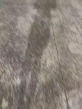 Snapshot of Foxfoxfox4 chatting on November 28, 1:03 pm Foxfoxfox4 online show from November 28, 1:03 pm