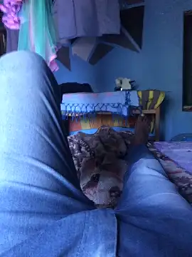 m11a2f3a4z5 online show from March 29, 10:15 am