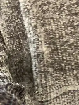 Snapshot of sunset24 chatting on October 13, 8:58 am sunset24 online show from October 13, 8:58 am