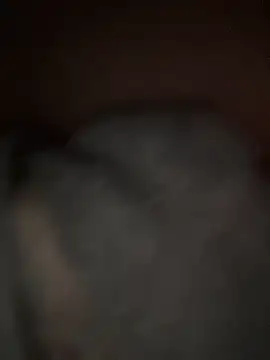 sunset24 online show from March 29, 12:54 am