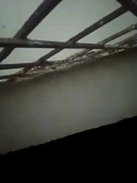 Daisygirl9 online show from October 22, 9:36 pm