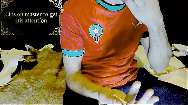 JUSTFORRICH online show from January 15, 3:00 am