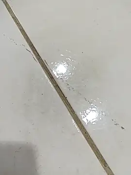 Snapshot of daring_lily chatting on December 5, 1:58 am daring lily online show from December 5, 1:58 am