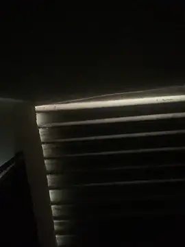 envolvemteX online show from March 1, 10:17 am