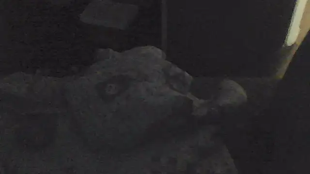 Snapshot of sarahkat86 chatting on November 13, 2:05 pm sarahkat86 online show from November 13, 2:05 pm