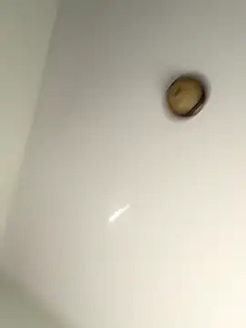 lilcubangoddess online show from October 28, 2:31 pm