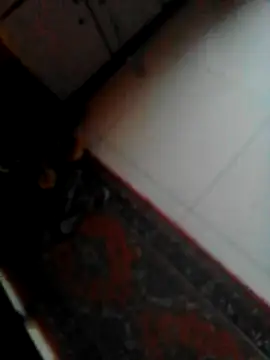 Snapshot of sotpornhub chatting on September 9, 10:59 am sotpornhub online show from September 9, 10:59 am