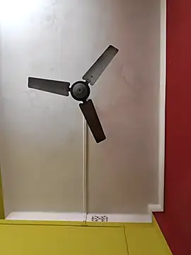 susmicpl online show from February 3, 5:29 pm