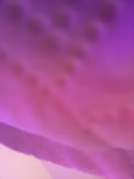 AmberMoss1 online show from November 27, 8:11 pm