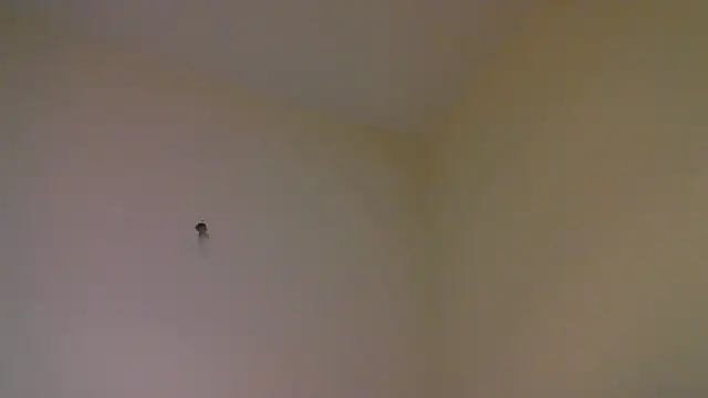 Snapshot of str8matesirishoz chatting on October 15, 4:01 am str8matesirishoz online show from October 15, 4:01 am