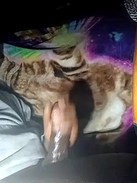 ANDACONDA-PYTHON online show from November 2, 11:56 am