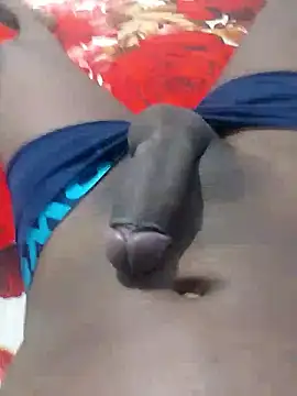 gatooo preto online show from January 16, 5:28 pm